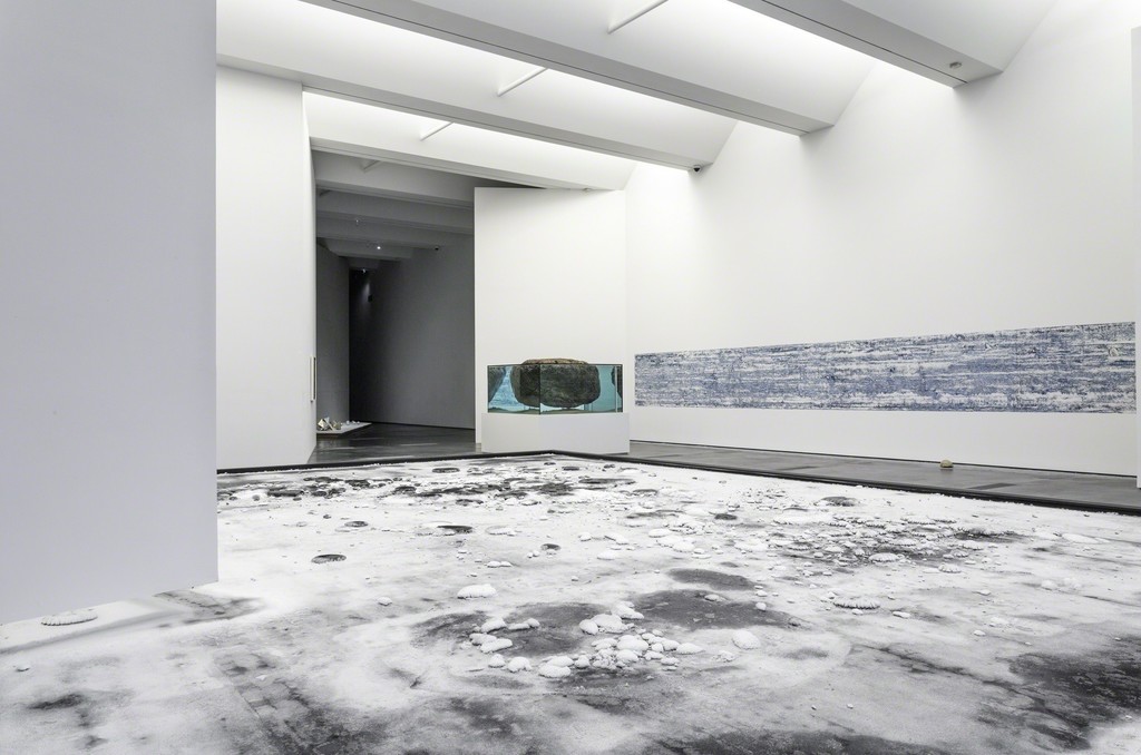 Installation photo, Pierre Huyghe at LACMA (11/23/14 - 2/2/15). © Pierre Huyghe. Photo © Museum Associates/LACMA Installation photo, Pierre Huyghe at LACMA (11/23/14 - 2/2/15). © Pierre Huyghe. Photo © Museum Associates/LACMA