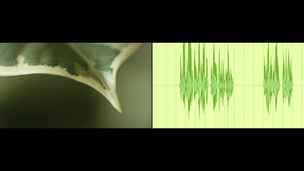 Rachel Pimm, FYE-Kuss e-LASS-tick-uh, two channel HD video, 2014, screenshot. Courtesy of the artist and Tenderpixel. Rachel Pimm, FYE-Kuss e-LASS-tick-uh, two channel HD video, 2014, screenshot. Courtesy of the artist and Tenderpixel.