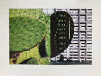 Cactus Score
