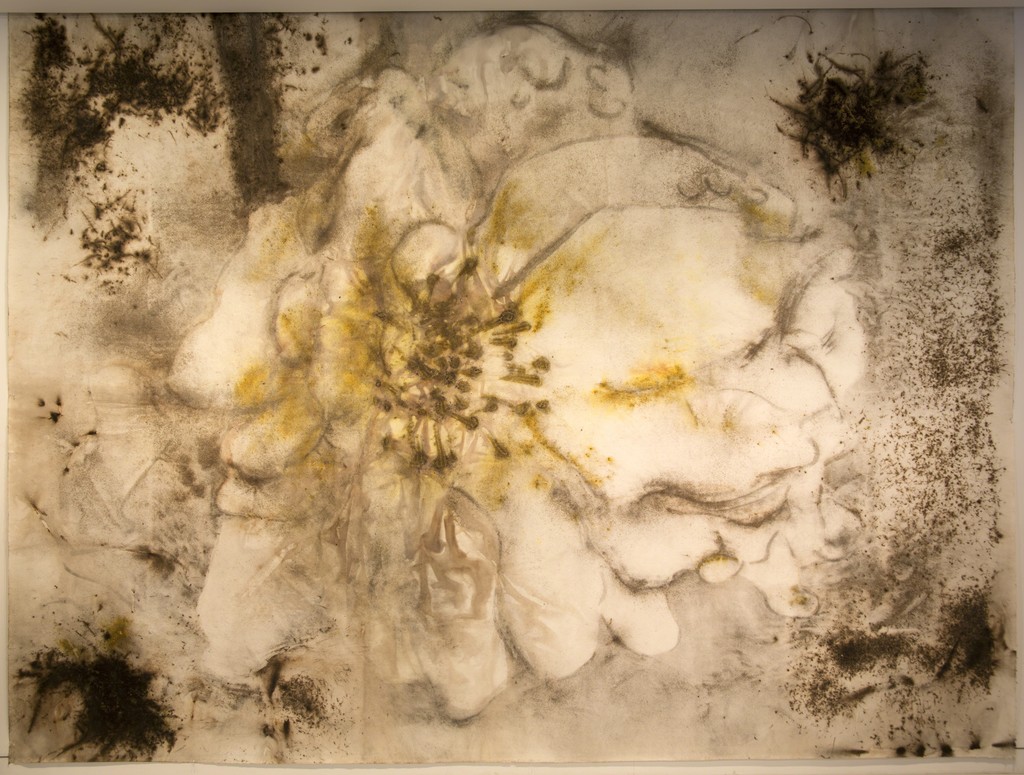 “A Cherry Blossoms”
2015
Gunpowder on paper
Collection of the artist
Photo by Wen-You Cai,
courtesy Cai Studio
“A Cherry Blossoms”
2015
Gunpowder on paper
Collection of the artist
Photo by Wen-You Cai,
courtesy Cai Studio