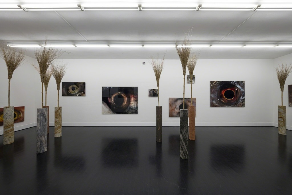Bruna Esposito
davvero, 2016
installation view at FL GALLERY - SPAZIO 22
Courtesy the artist and FL GALLERY
Photo: Antonio Maniscalco Bruna Esposito
davvero, 2016
installation view at FL GALLERY - SPAZIO 22
Courtesy the artist and FL GALLERY
Photo: Antonio Maniscalco
