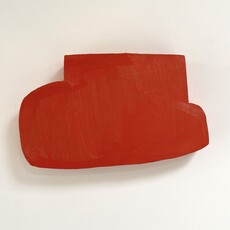Kees Van de Wal