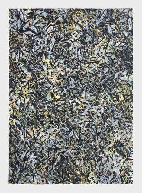 Doug Argue, ‘Leaf (Color)’, 2003, Approximately Blue