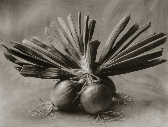 Cy DeCosse, ‘Three Asian Onions’, Gallery 270