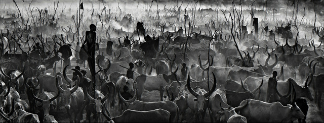 David Yarrow, ‘Mankind 2’, ca. 2015, Samuel Lynne Galleries