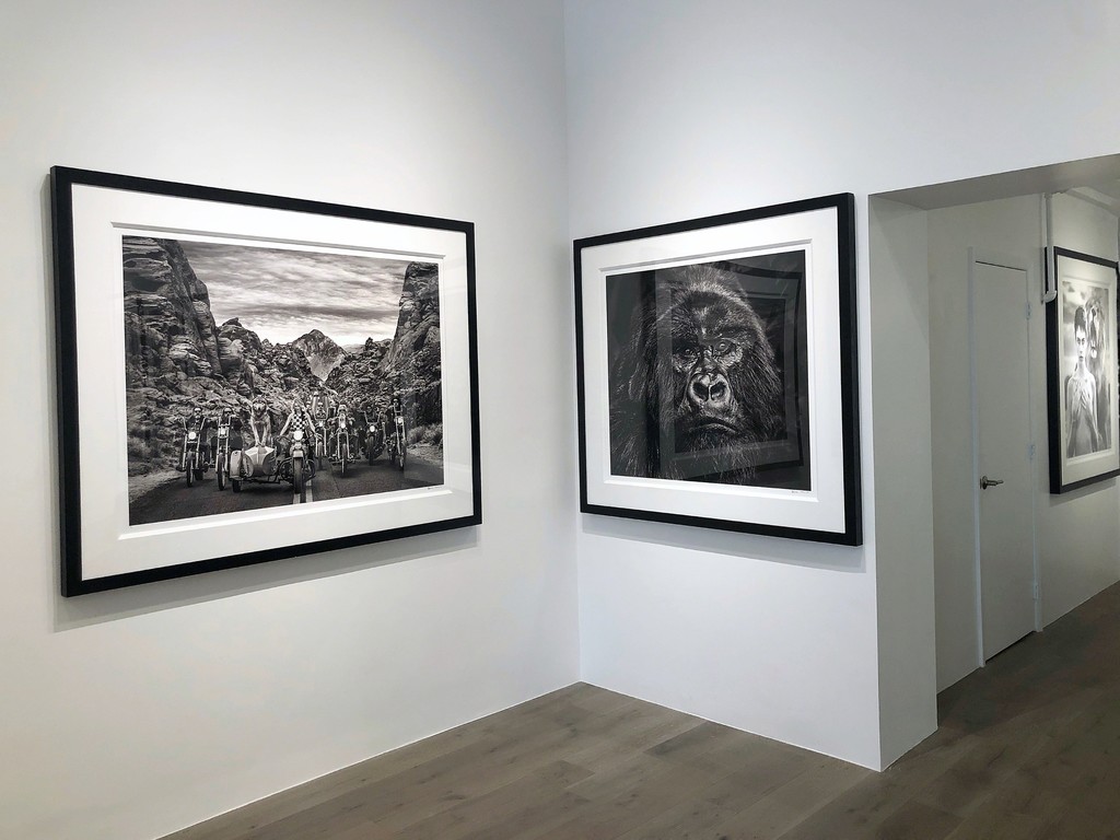 David Yarrow: Off Road & After Hours: The Leader of the Pack, 2019; Kong, 2019; Cara Delevingne, 2017 David Yarrow: Off Road & After Hours: The Leader of the Pack, 2019; Kong, 2019; Cara Delevingne, 2017