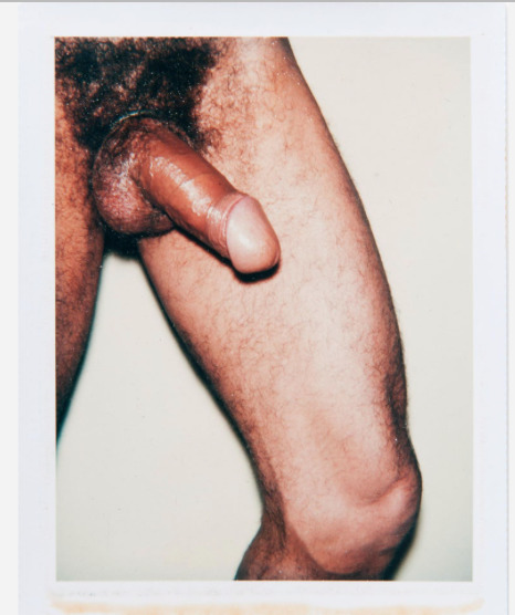 Andy Warhol, ‘Andy Warhol, Polaroid Photograph from the 'Sex Parts and Torsos' Series’, 1977, Hedges Projects