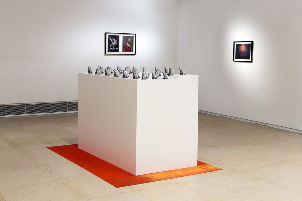 Dror Daum, Scared to Die / Scared to Live, 2014, CCA. Photo by Shahaf Haber. Dror Daum, Scared to Die / Scared to Live, 2014, CCA. Photo by Shahaf Haber.