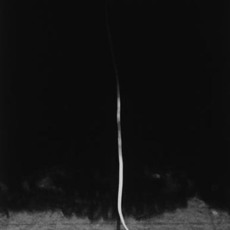 Lynn Silverman