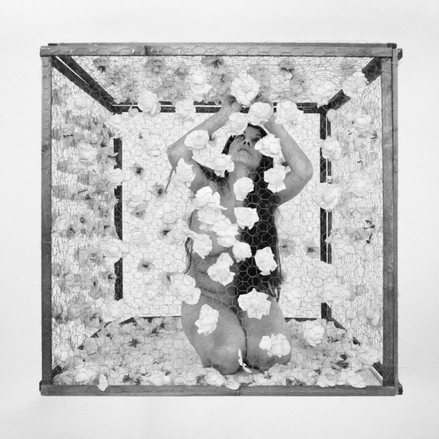 Romina de Novellis, ‘La Gabbia (triptych)’, 2016, Photography, B&W photography on aluminium, Alberta Pane