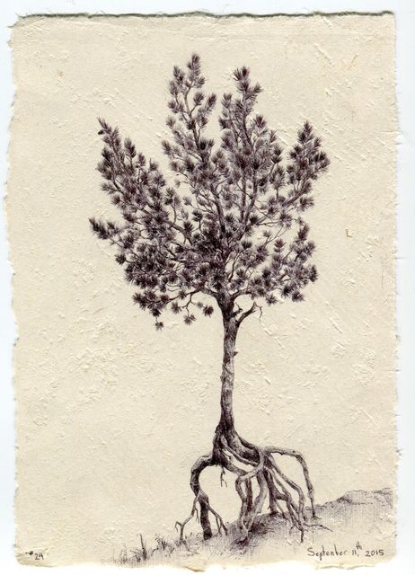 Dina Brodsky, ‘Tree No. 24, September 11, 2015’, 2015, Garvey | Simon