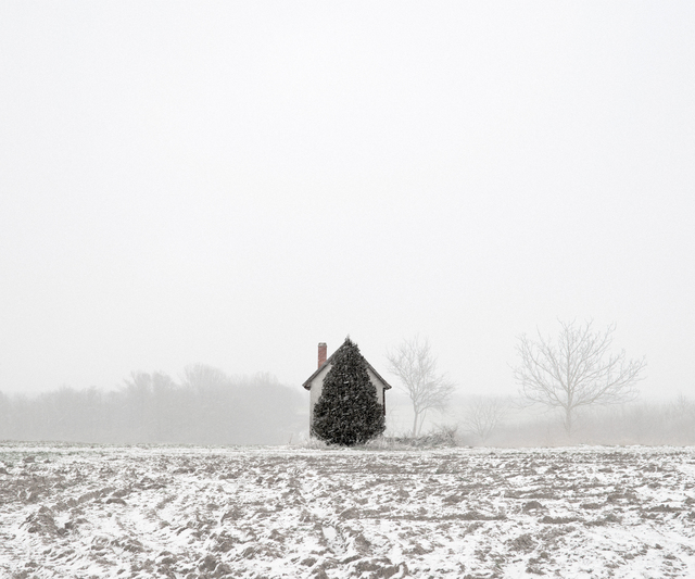 Tamas Dezso, ‘Tree and House (West Hungary, 2011)’, 2011, The Photographers' Gallery | Print Sales