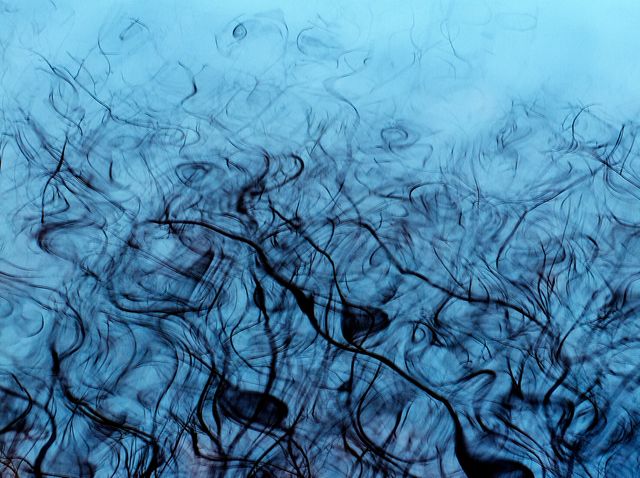 S. Kay Young, ‘Detroit Nations Before Colonization, Blue, Study for Installation Piece’, 2018, M Contemporary Art