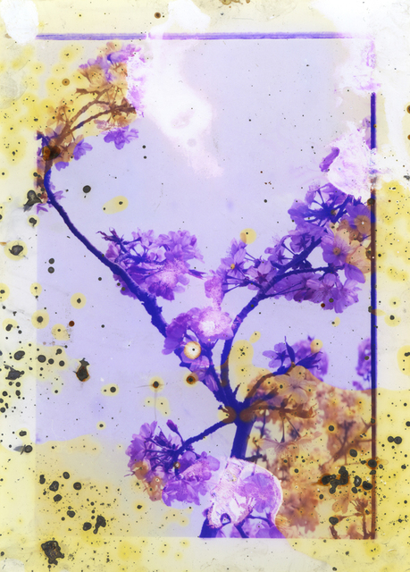 Melinda Gibson and Thomas Sauvin, ‘Untitled III from the series Lunar Caustic’, 2014, ROSEGALLERY