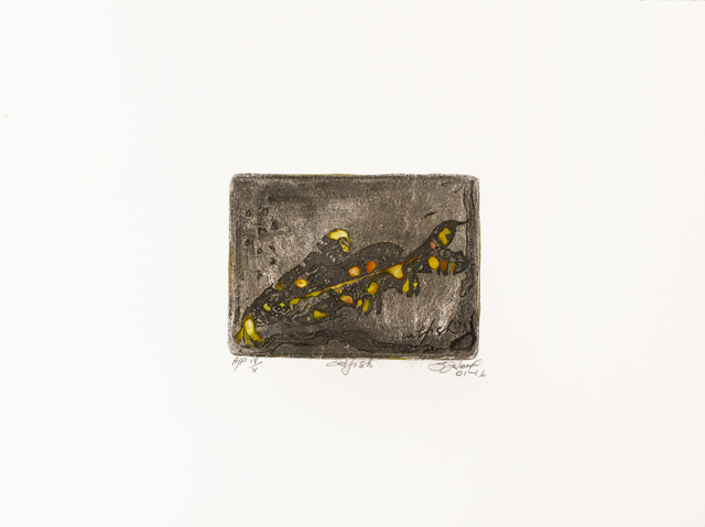 Soledad Salamé, ‘Catfish’, 2002, Goya Contemporary/Goya-Girl Press