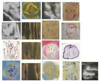 Yayoi Kusama - a) Calling the Wave; b) Night of the Moon; c) Scent of Flowers; d) Rain in the Flowers; e) Shadow of the Mo...