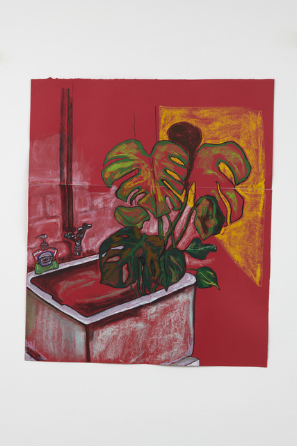 Christabel MacGreevy, ‘Cheese Plant Having A Drink In The Studio Sink,’, 2018, Drawing, Collage or other Work on Paper, Charcoal, Chalk and Oil Pastel, LAMB Arts