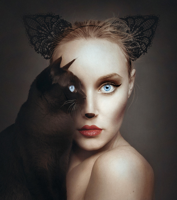 Kitty