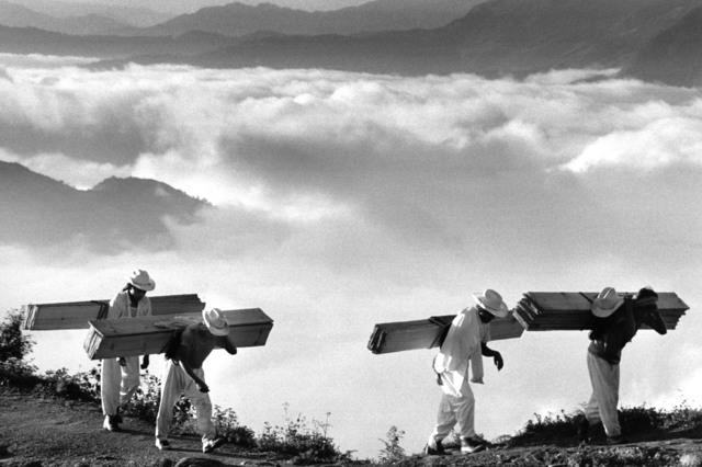 Sebastião Salgado, ‘Brasil 1980, from 'Other Americas' © Sebastião Salgado / Amazonas Images / NB Pictures’, 1980, The Photographers' Gallery | Print Sales