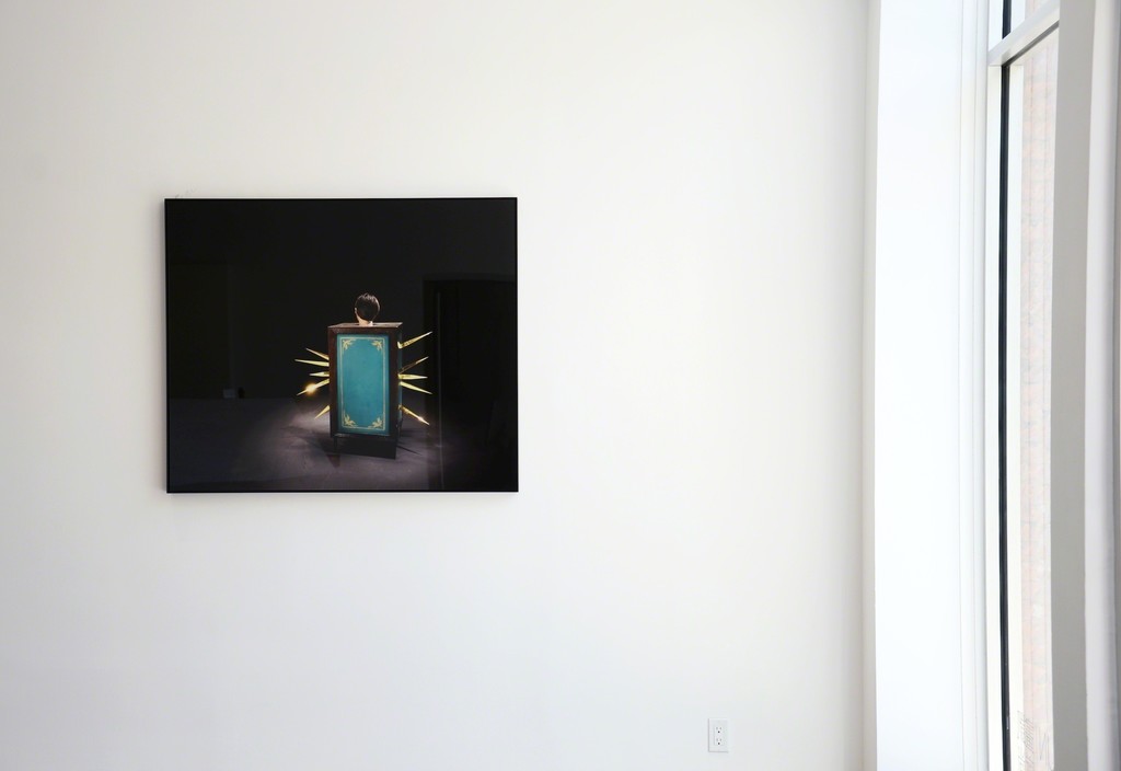 Installation view Installation view