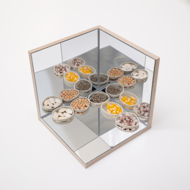 Audrey Cottin, ‘Mirror Box (#3)’, 2019, Installation, Wood, plexi mirror, glue and seeds, Tatjana Pieters