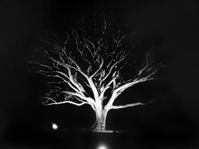 Adriana Lestido, ‘Puerto Valle’, 2009, °CLAIRbyKahn Galerie