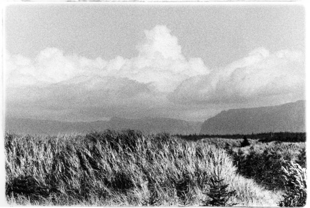 Carol Marino, ‘Thunderhead Overhead, Nfld., part 2’, 2020, Photography, Gelatin silver print, toned, Corkin Gallery
