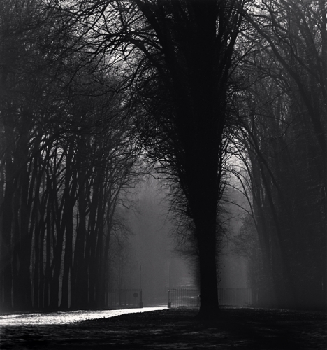 Michael Kenna, ‘Silver Road, Versailles, France’, 1988, Photography, Silver Gelatin Print, Weston Gallery