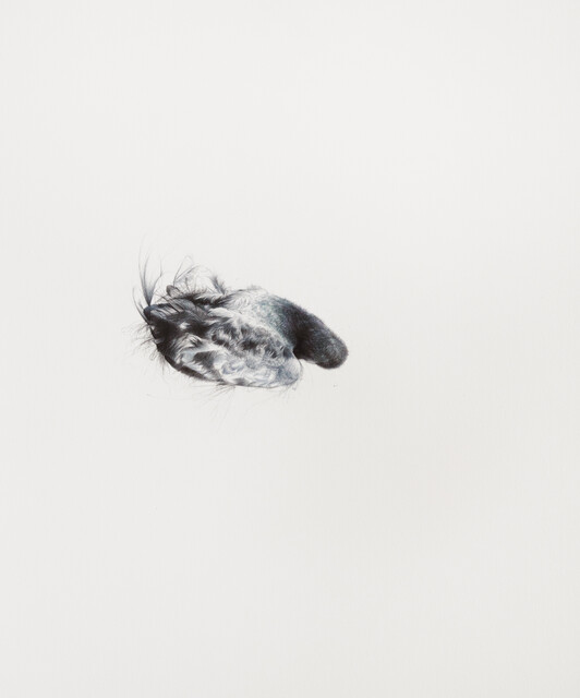 Untitled (Innocent Erendira Series)