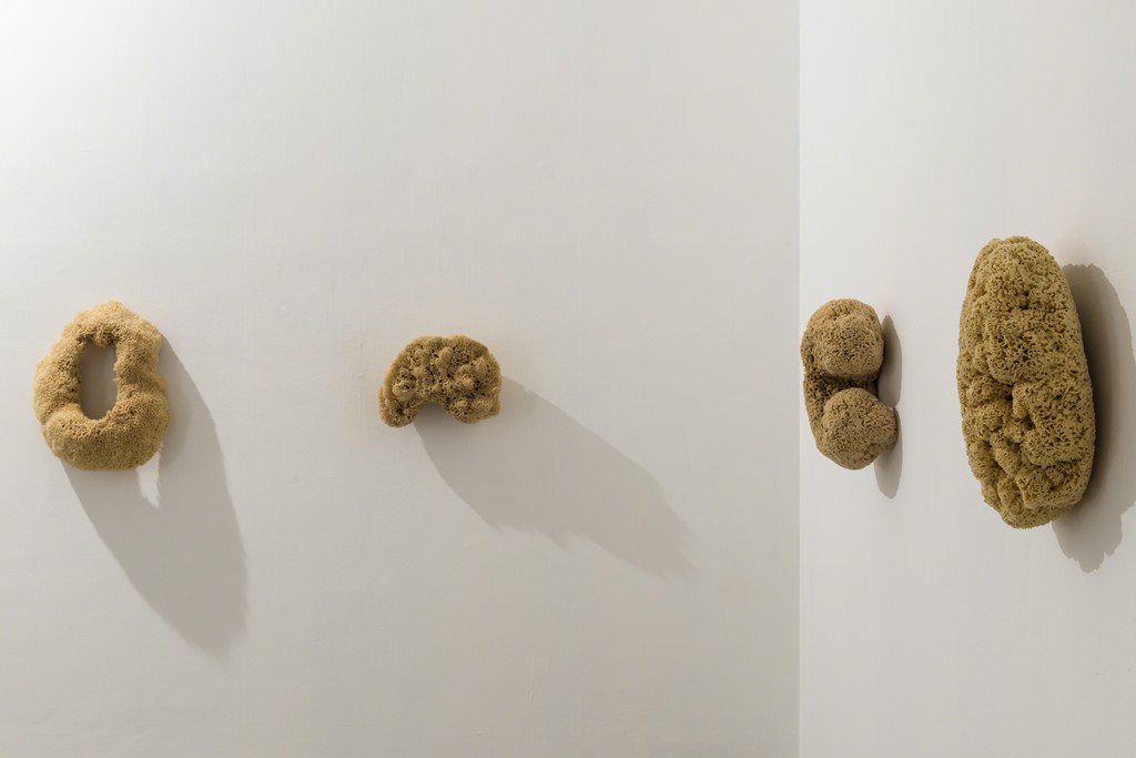 GiovanniKronenberg, 2016, installation view at z2o Sara Zanin Gallery, Rome, room 3 GiovanniKronenberg, 2016, installation view at z2o Sara Zanin Gallery, Rome, room 3