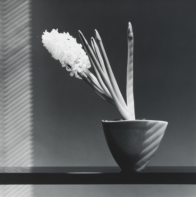 Robert Mapplethorpe, ‘Hyacinth’, 1986, Phillips