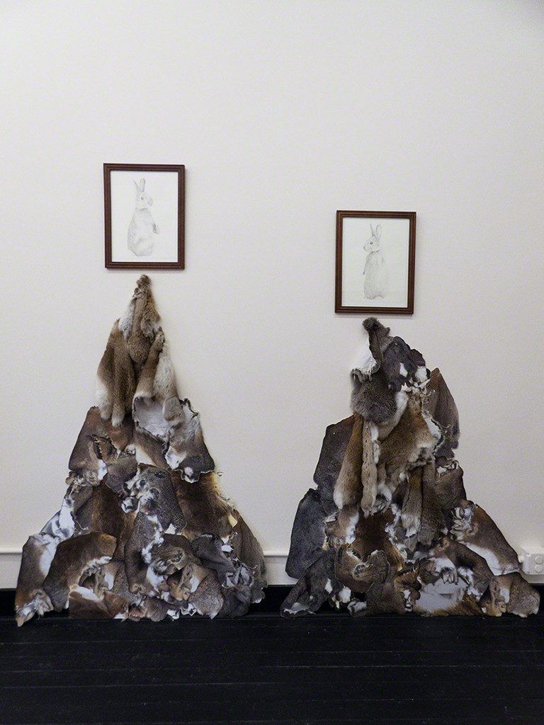 Markel Uriu \ Old World (O. Coniculus Dominion) & (O. Coniculus Decline) 2018 rabbit skins, photo scans, pencil on paper, dimensions variable (approximately 6 feet tall) $1000 (each, including framed drawing) Markel Uriu \ Old World (O. Coniculus Dominion) & (O. Coniculus Decline) 2018 rabbit skins, photo scans, pencil on paper, dimensions variable (approximately 6 feet tall) $1000 (each, including framed drawing)