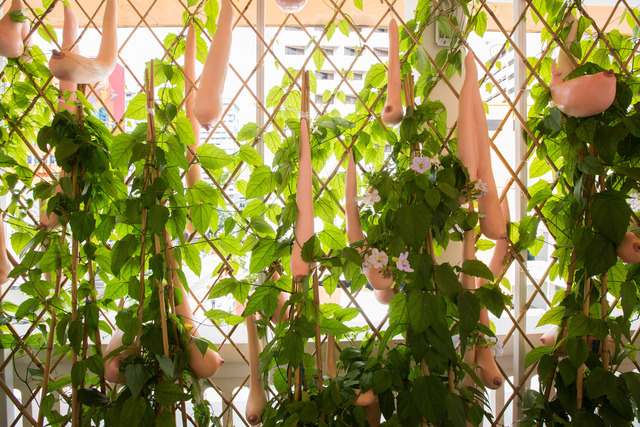 Nguyen Thi Hoai Tho, ‘The Loofah Trellis’, 2011, Installation, Silicon, composite plastic and fibreglass, Singapore Art Museum (SAM)