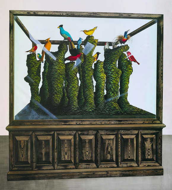 Cabinet of curiosity (Biostratigraphic range zone)