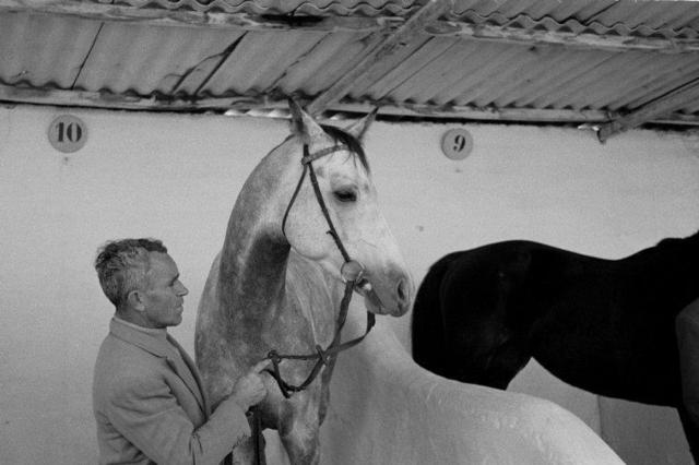 Constantine Manos, ‘A groomsman cares for horses in a stable. Seville, Spain.’, 1955, Print, Gelatin silver print, Magnum Photos