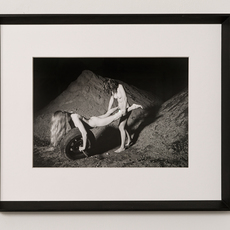 Carina Brandes