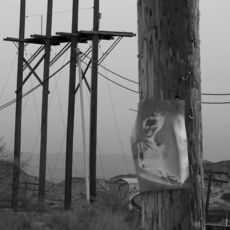 Anthony Goicolea