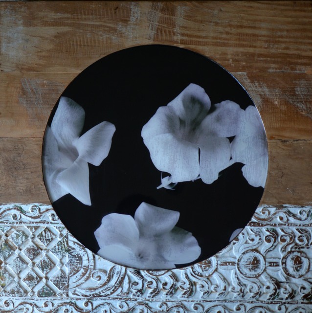 Amélie Desjardins, ‘Floresta primitiva 2 (Jepara, Indonesia)’, 2019, Thompson Landry Gallery