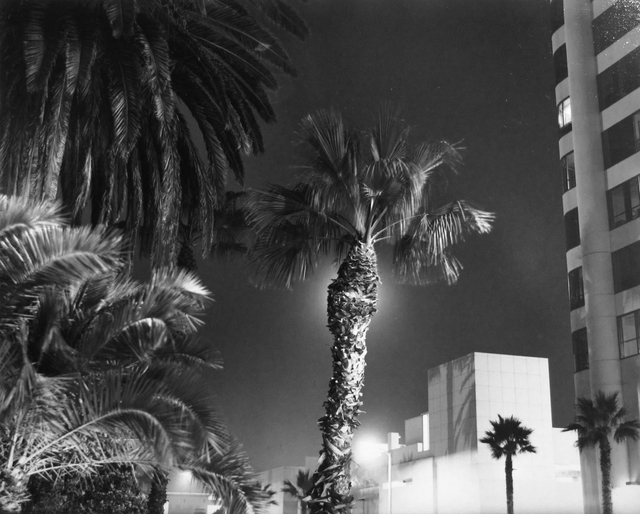Bruce Davidson, ‘Wilshire Blvd, Los Angeles, California’, 2008, ROSEGALLERY
