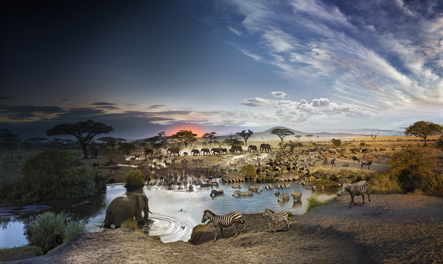 Stephen Wilkes, ‘Serengeti National Park, Tanzania’, 2015, Bryce Wolkowitz Gallery