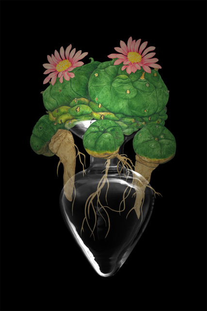 ShihFen Liu, ‘Garden of Mullerian Ducts: Peyote’, 2016, Asia University Museum of Modern Art
