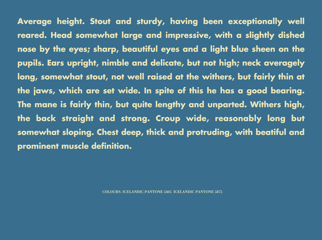 Birgir Andrésson, ‘Horse Portrait (Average height, stout and strudy...)’, 2005, i8 Gallery