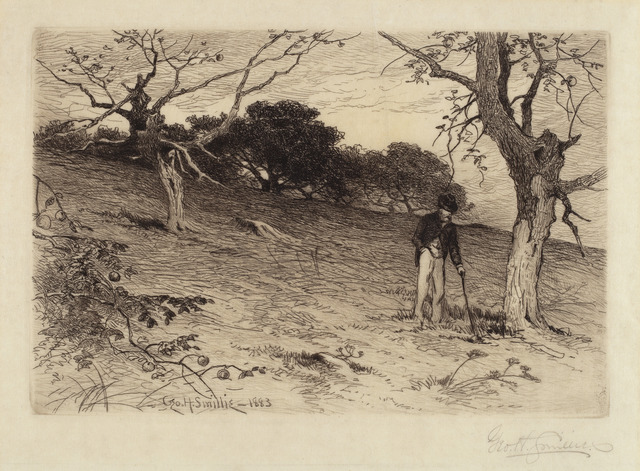 George Henry Smillie, ‘Old New England Orchard’, 1883, National Gallery of Art, Washington, D.C.