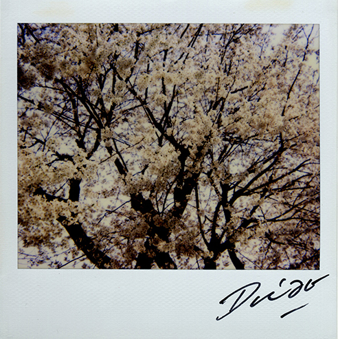 Daido Moriyama, ‘Untitled’, 2008, Aura Gallery