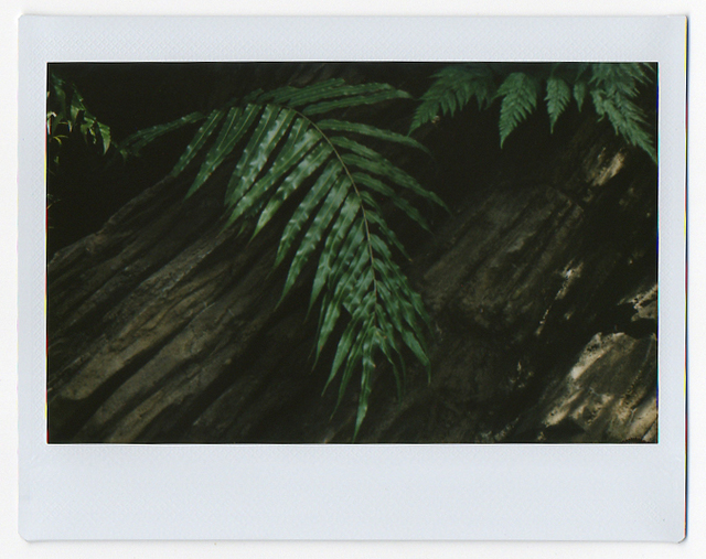 Ryan James MacFarland, ‘05.26.13’, 2013, Photography, Fujifilm Instax print, Uprise Art
