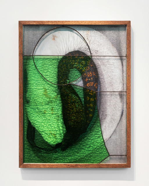 Nadia Belerique, ‘Eels’, 2019, Daniel Faria Gallery