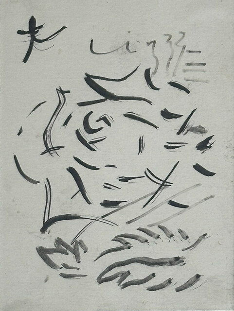 image-zoom