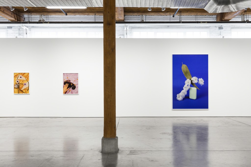 Michelle Bui, Centerfold, 2019, installation view. Michelle Bui, Centerfold, 2019, installation view.