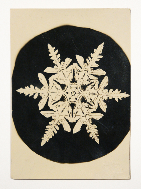 Wilson A. Bentley, ‘Snowflake’, 1888-1927, Richard Levy Gallery