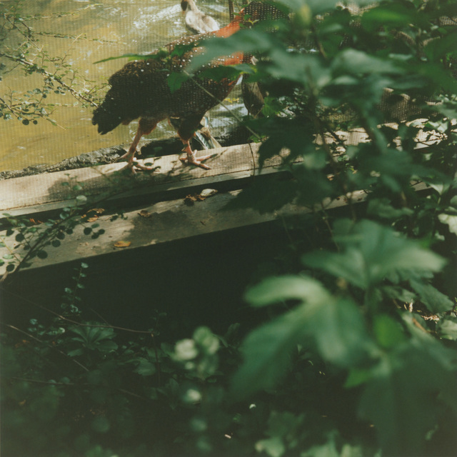 Mikiko Hara, ‘Untitled’, 2017, MIYAKO YOSHINAGA